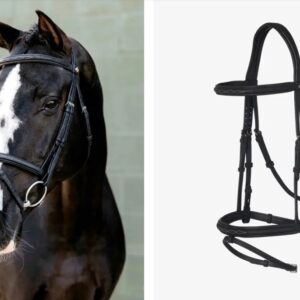 ראשיית רכיבה - LeMieux Arika Classique Flash Bridle